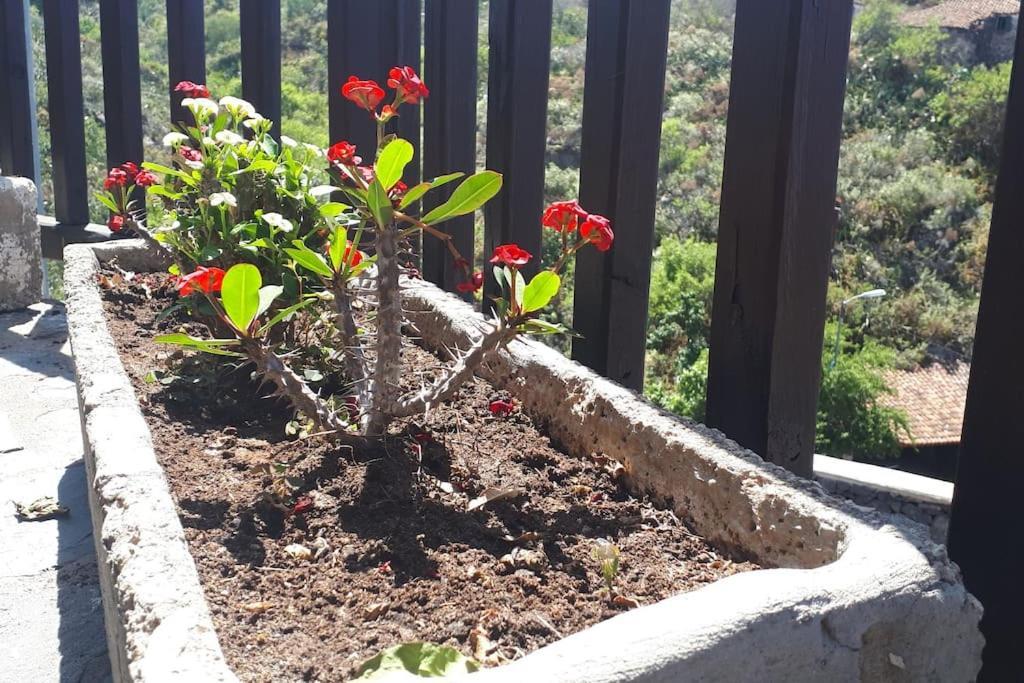 Villa Casa Tia Rosa. à Costa Adeje  Extérieur photo